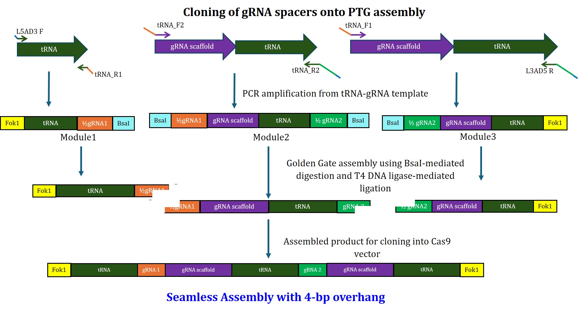 PTG Assembly Workflow